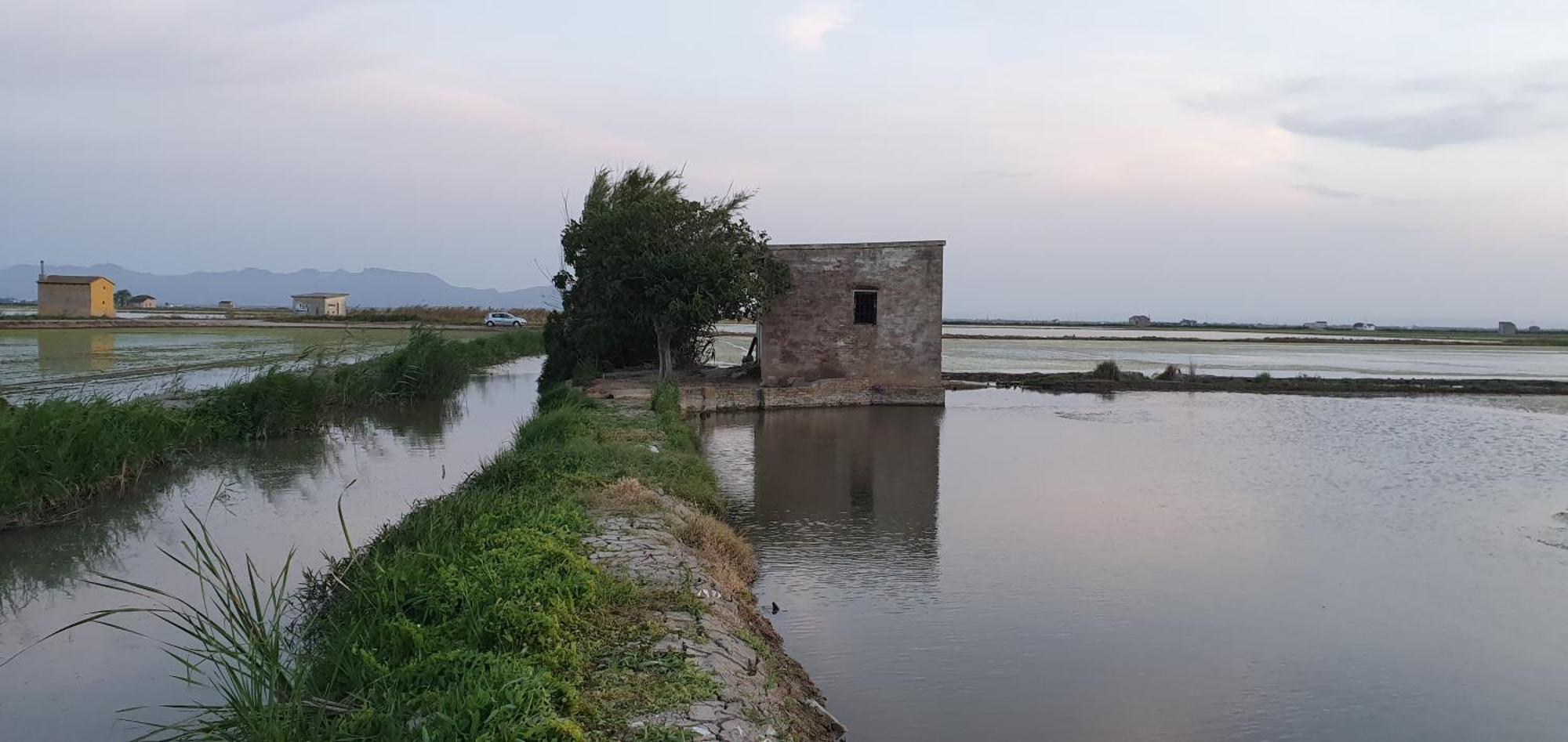 Alloggio in famiglia Cerca Del Centro Valenza